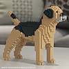 Border Terrier Jekca (Black & Tan)